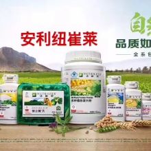 廣元市四季無公害農產品專業合作社 食用菌與服裝雙軌發展